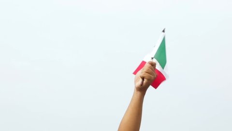 Anatomically Accurate Animation Turntable Human Pancreas Stock Footage ...