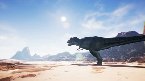 T Rex Tyrannosaur Dinosaur animation in desert. 