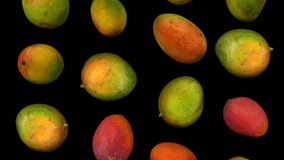 Realistic render of falling sindhoora mangoes on transparent background (with alpha channel). The video is seamlessly looping, and the objects are 3D scanned from real mangoes.
