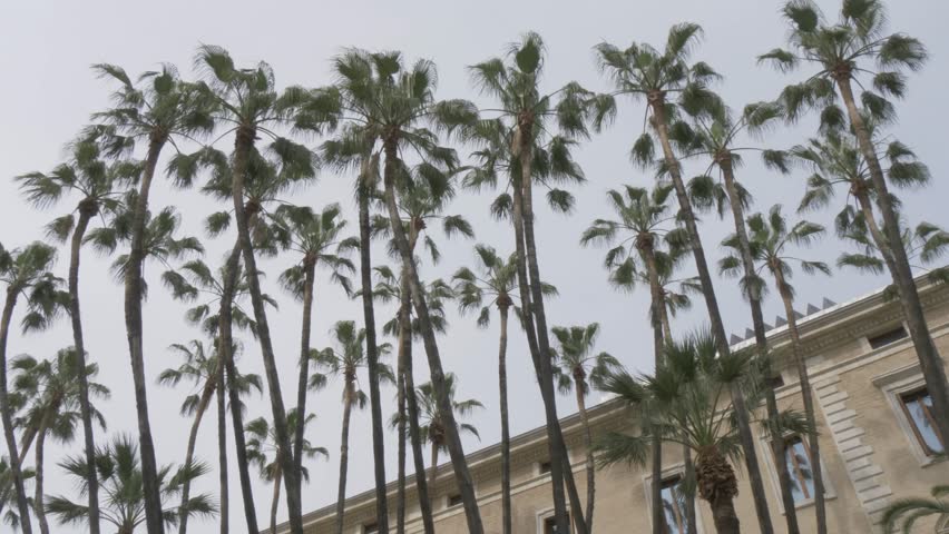View of Museum de Malaga, Malaga, Andalucia, Spain, Europe
