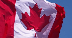 Canadian Flag Waving in the Wind, Slow Motion 4K