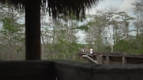 Everglades Park, United States - June, 2017: People on a wooden bridge in the forest