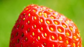 Strawberry rotates smoothly. Super macro shot on green background. Juice video