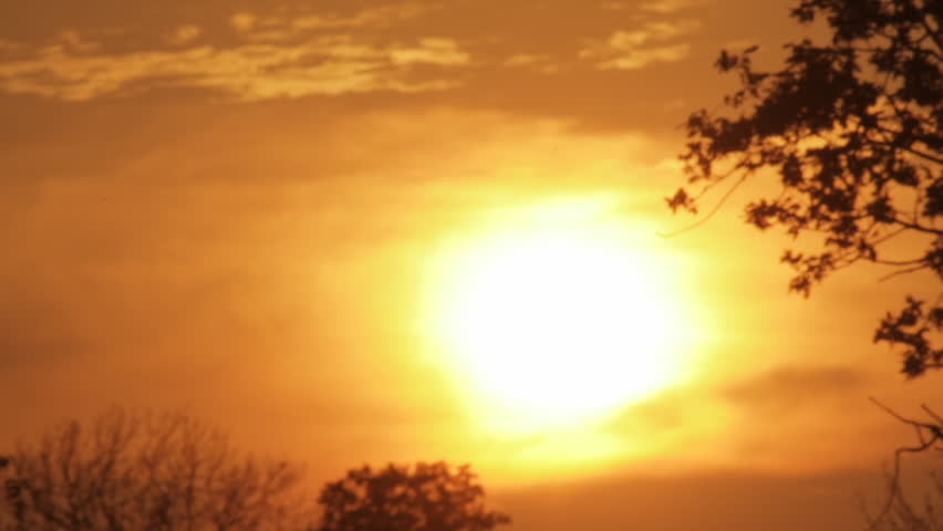 Silhouette of boy gazing at sunset.