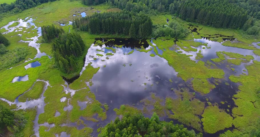 Aerial shot at swamp among shrubbery, trees at sunny day. Sun reflections, cloudy, blue sky - 14