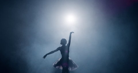 Silhouette Ballet Dancer Performing Swan Lake on Dark Stage Determination Beauty Concept Slow Motion Red Epic