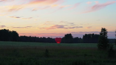 A balloon in the shape of a heart in the field