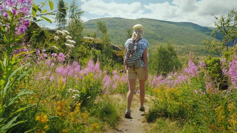 An active woman walks through a beautiful valley among flowering flowers against the backdrop of mountains and sky. Spring in Norway, a trip to Scandinavia