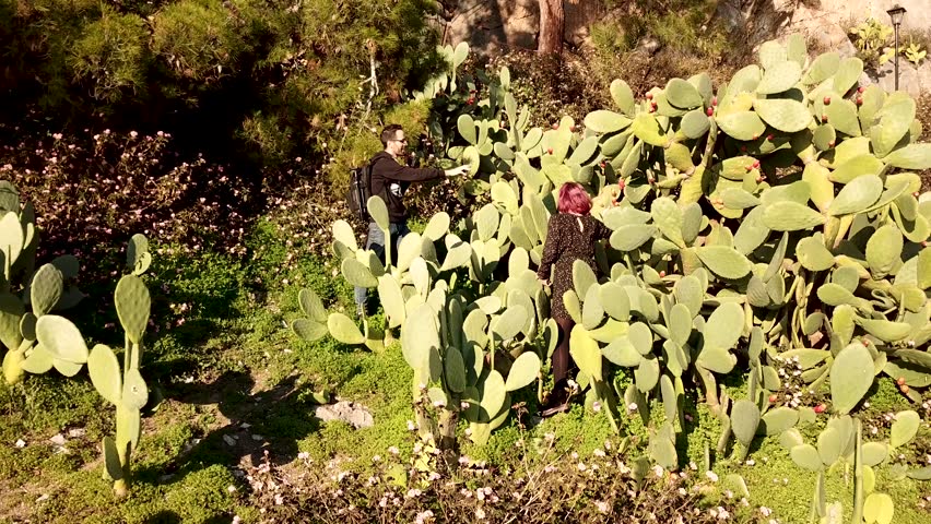 Photo Session of a beautiful young girl in cactus and other vegetation.