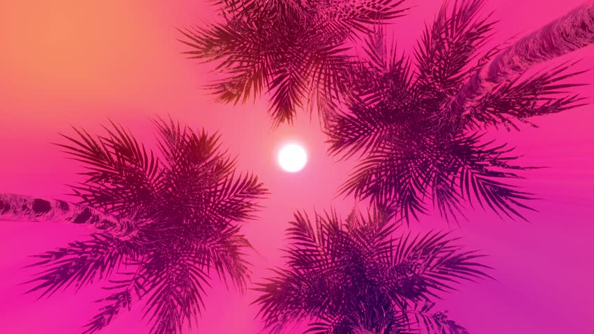 Rainbow Palm Tree Stock Video Footage - 4K and HD Video Clips
