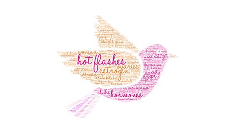 Hot Flashes word cloud on a white background.