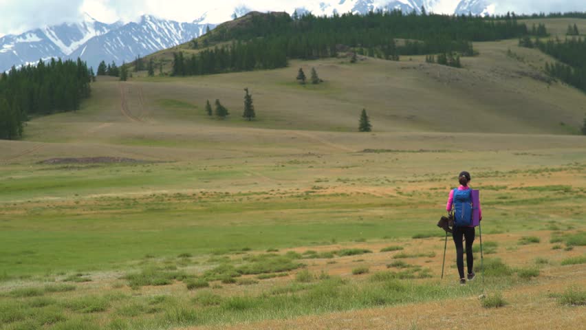 young woman hiker with blue bagpack hiking in beautiful mountains with green grass.