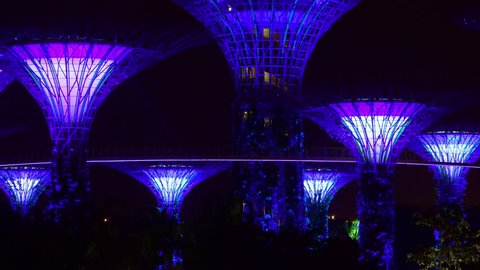 SINGAPORE - OCT 20, 2017: Fantastic night view of Supertree Grove of Gardens by the Bay. Giant futuristic super trees illuminated by purple light. Astonishing touristic landmark. Camera zooms out.