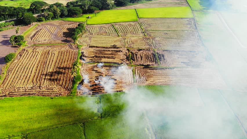 Smoke and flames occur from agriculturist Stubble burning rice straw for farming new rice Cause fumes, toxic pollution. Risks to rural health, Thailand Royalty-Free Stock Footage #1014651332