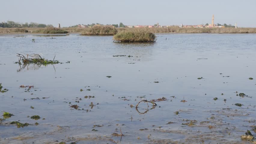 walking on the mud of the lagoon with the island of Burano in the background.