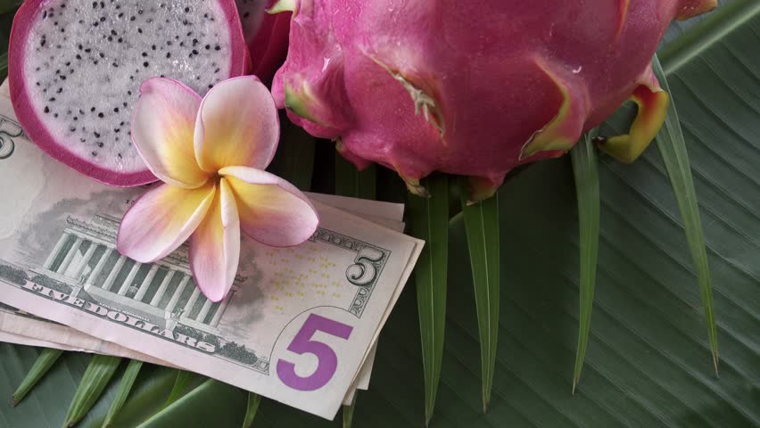 Two Fresh Raw Exotic Tropical Thai Dragon Fruit also called Pitayas with American Currency US Dollars Rotating on Banana Leaf