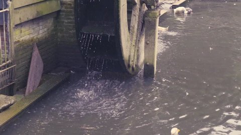 Tilt up of spinning water wheel surrounded by nature and birds. Filmed at 240fps.