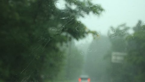 Driving in Rainy Day