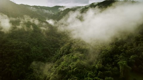 Aerial view of a village in the lush green rain cloud cover tropical rain forest mountain during the rainy season in the northern Thailand