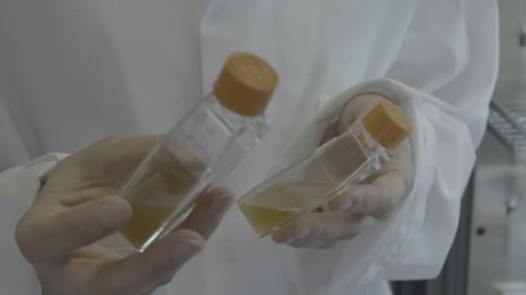 A shot inside a laboratory where scientists do work.