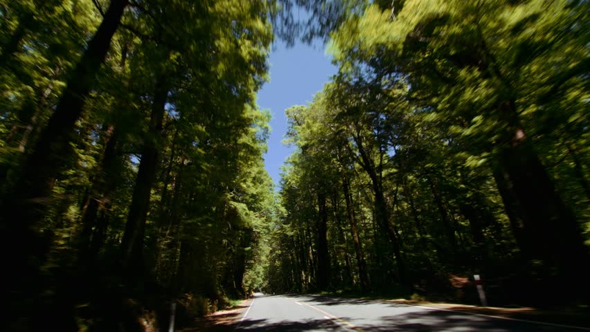 New Zealand Fiordland National Park Road Trip