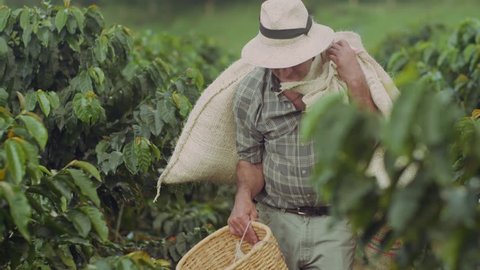 Coffee Farmer Quindio Colombia 02