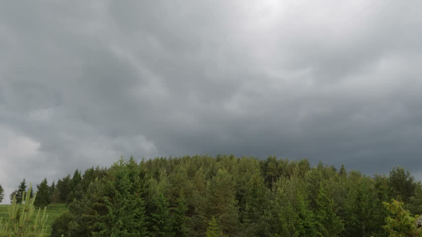 Forest on the mountain and storm clouds.
Video footage of forest and storm clouds.