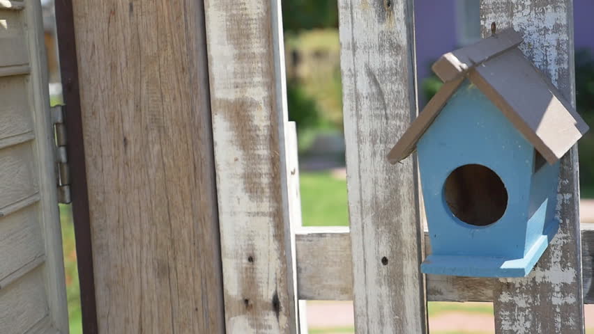 Wooden bird house on the fence, Pan shot