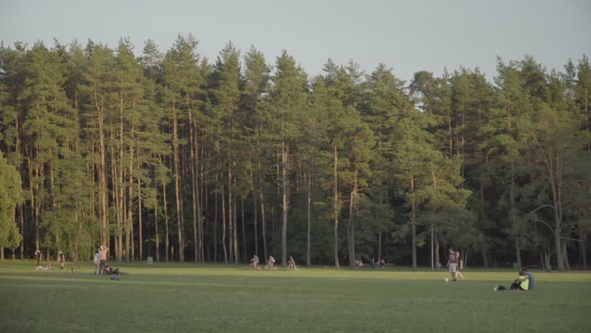 People realxing in a park at summer afternoon with tall trees in the background, Vingis Park, Vilnius, Lithuania, 4k