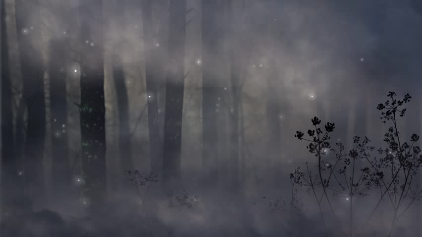 The Fog Moves in a Stock Footage Video (100% Royalty-free) 1014716552 ...