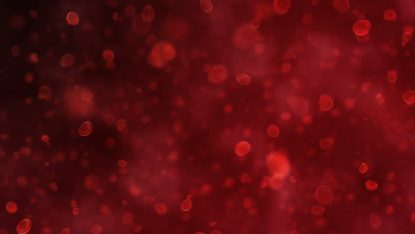 Blood cells traveling through a vein.