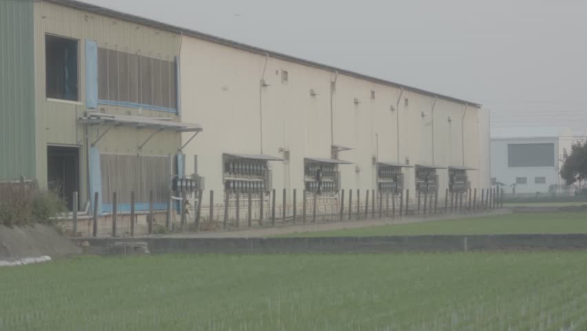 Asian Rice Field Near Warehouse