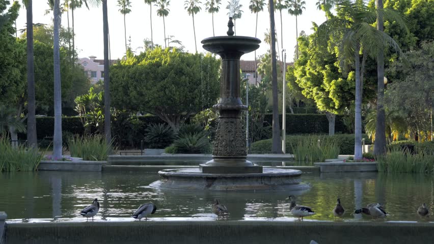 Ducks on a ledge by a fountain in Will Rogers Memorial Park in Beverly Hills, Los Angeles, California