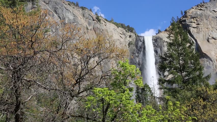 trees bridalveil fall - yosemite national Stock Footage Video (100% ...