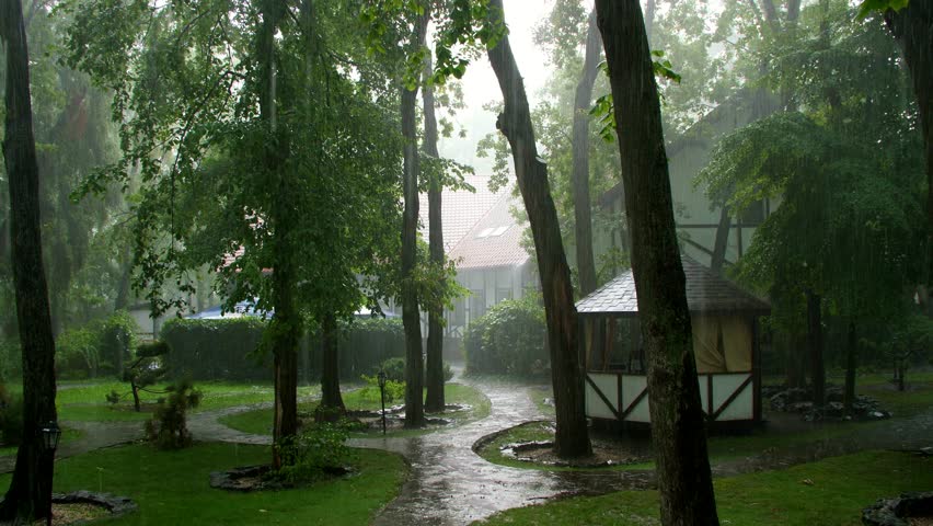 summer rain, a thunderstorm, a heavy downpour at the recreation center, in a pine forest, park. water flows down in large drops