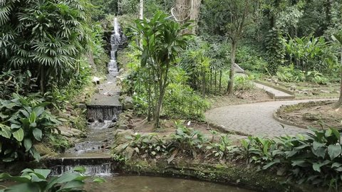 Jardim Botanico, Rio de Janeiro, Brazil, South America