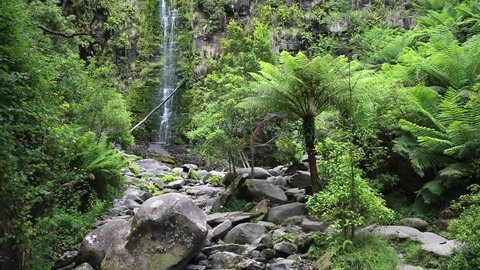 Erskine Falls in Great Otway National Park, Great Ocean Road, Victoria, Australia