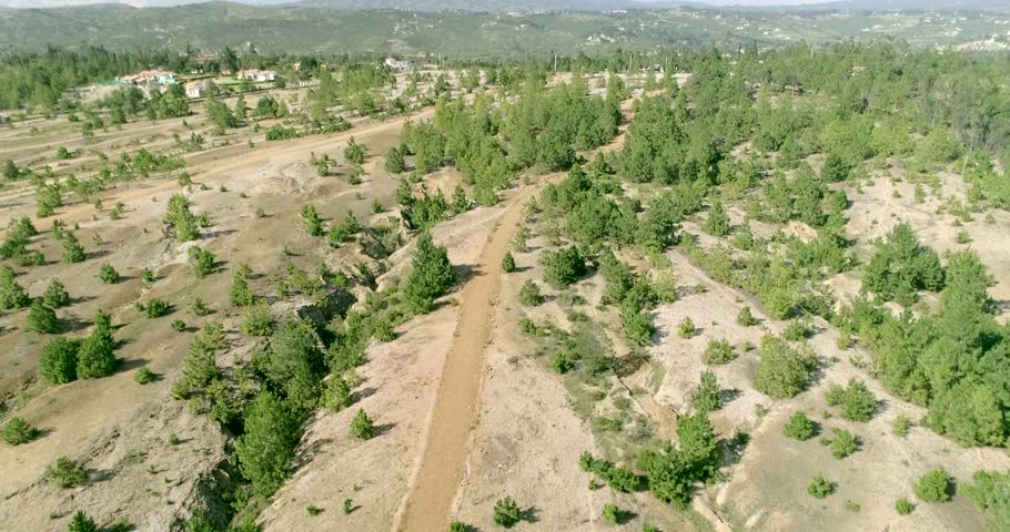 Drone view trees in villa de leyva colombia