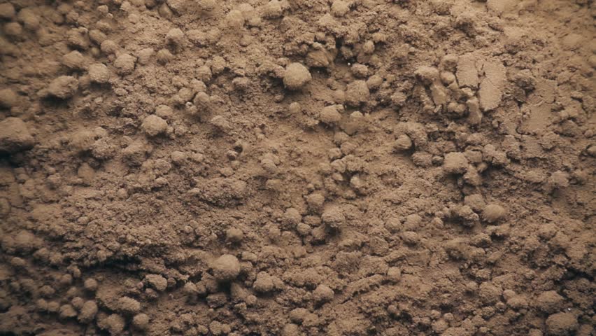 Pulsating chocolate cocoa powder in slow motion macro, close up, coffee powder, soil | Shutterstock HD Video #1014765182