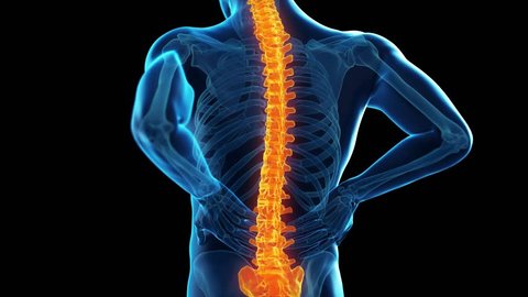 3d Rendered Illustration Back Spine Pain Stock Footage Video (100% ...