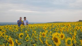 two farmers men business smartphone explore walking examining crop of sunflowers in field slow motion vide. man Wheat Field summer lifestyle field with yellow sunflowers. slow motion video. farmer