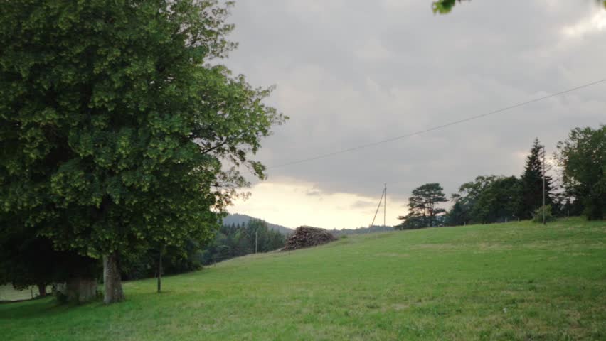 Peaceful grassy hill landscape with leaves blowing in the wind