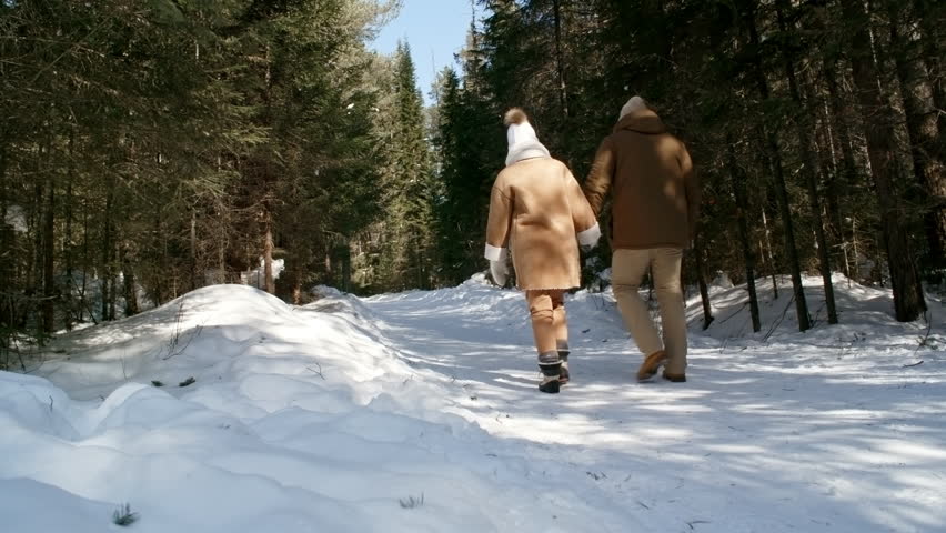 Rear view of man and woman holding hands when walking in winter forest with two playful children