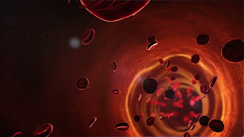 Viruses on the erythrocytes, Erythrocytes and viruses in the blood: film stockowy