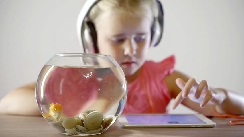 small curious girl is looking on screen of touchpad and on a goldfish in small aquarium in room, hearing music