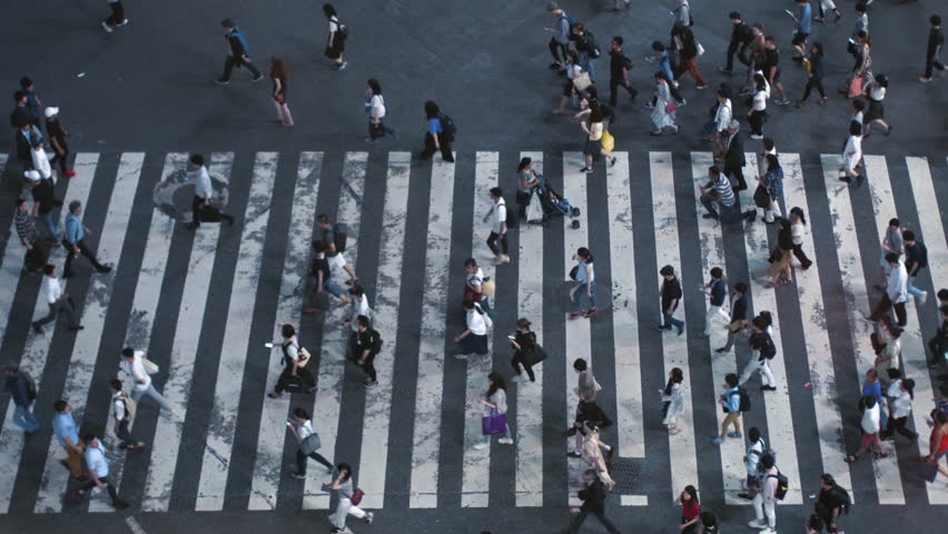 Shutterstock video thumbnail