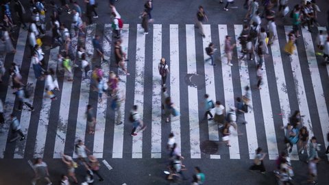 High Angle Time Lapse Shot of the Famous Shibuya Pedestrian Scramble Crosswalk with Crowds of People Crossing and Traffic. Evening in the Big City. 