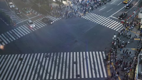 High Angle Time Lapse Shot of the Famous Shibuya Pedestrian Scramble Crosswalk with Crowds of People Crossing and Traffic. Evening in the Big City. 