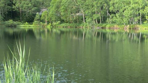 Shigakogen of Kido pond ( Kidoike ) in Nagano prefecture, Japan. 
