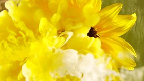 Top view of amazing spreading of paint on sunflower. - Powered by Shutterstock - Get 15% off with code: PIKWIZARD15